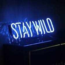 Stay Wild Blue Neon Sign Apollobox