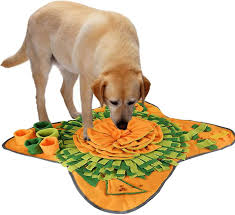 sniff carpet for dogs smell exercise