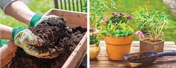 Revive Your Potting Mix Gardening