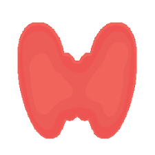 thyroid causing constant chapped lips