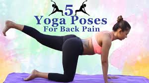 back pain yoga asanas