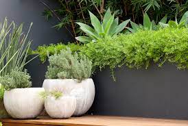 right outdoor pots for your garden