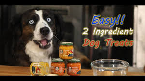 easy diy diabetic pumpkin dog treats