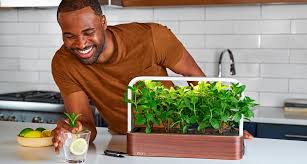 Hydroponic Planters For Growing On