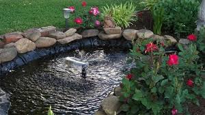 Best 5 Large Fish Pond Liners Reviews