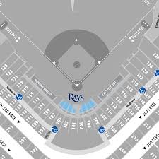 Dex Imaging Home Plate Club Tampa Bay Rays