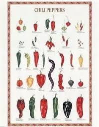 The Chili Pepper Poster Google Search In 2019 Stuffed