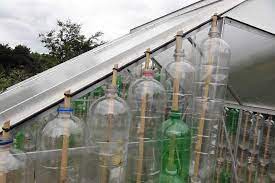 Building A Bottle Greenhouse Rhs