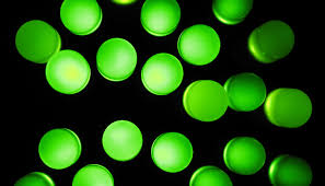 Can Green Led Light Ease Your Chronic Pain Futurity