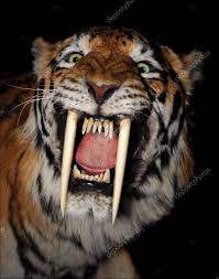 Resultado de imagem para Tigre-dente-de-Sabre