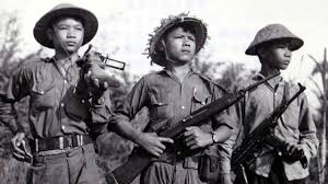 small arms of the viet cong the