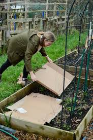 How To Make A No Dig Raised Bed The