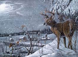44+] Free Wallpaper Deer in Snow on ...
