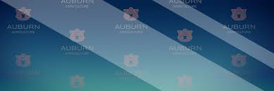 allen davis auburn university college