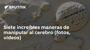 Siete increíbles maneras de manipular al cerebro (fotos, vídeos) - 02.04.2017, Sputnik Mundo