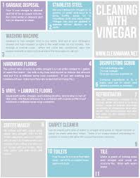 cleaning with vinegar 11 simple