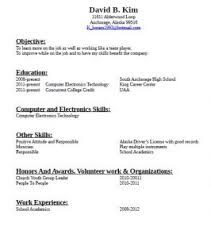    First Time Resume Template   Lpn Resume