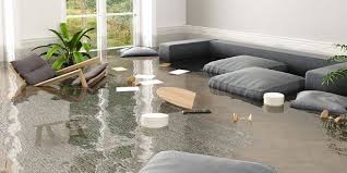 home or basement clean up after a flood