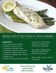 baked spotted trout with herbs