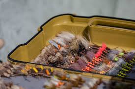 Montana Fly Fishing Hatches Made Simple