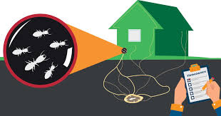 Does homeowners insurance cover termites. Pest Damage Covered By Homeowner Insurance Arrow Exterminating