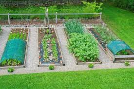 Shade Cloth To Protect Plants