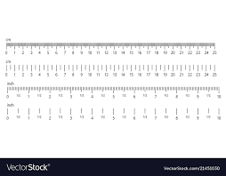 Inch and metric rulers centimeters and inches Vector Image