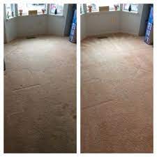 peter s steam carpet cleaning 14