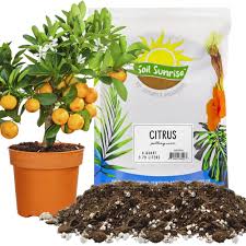 citrus tree potting soil mix 4 quarts