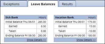 leave balance on my earnings statement