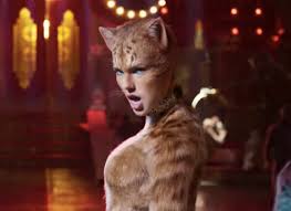 Feline, cat, kitten, animal, kitty, fur, domestic cat, pet. Taylor Swift Furry Anime Cat Girl Edition 9gag