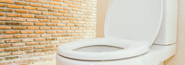 replace toilet seat with hidden fixings