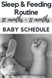 Babys First Year Schedule 10 Months To 11 Months Baby