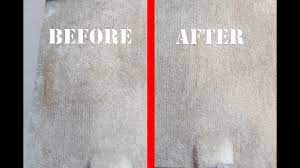 the rug doctor to clean your interior