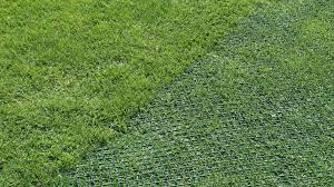 Stop Grass From Being Ruined