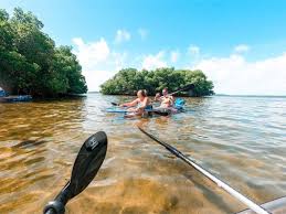 Explore mangrove islands, watch for dolphins and manatees, or catch a sunset.we strive to provide outstanding experiences by providing the best equipment and local guides. Blue Skies Clear Kayaks And Paddling Round Island Is The Recipe For A Great Week Beach Kayak Vero Beach Clear Kayak