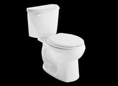 It is also durable and will last for a very long while. Best Toilets Of 2021 Consumer Reports