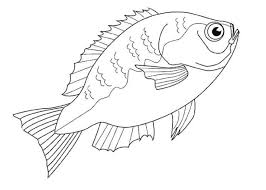 Ausmalbild sommer lustiger fisch kostenlos ausdrucken. 40 Fische Zum Ausdrucken Besten Bilder Von Ausmalbilder