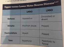 lower motor neuron disease flashcards