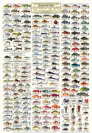 Qld Boating Fishing Camtas Marine Safety Chart Mc670 Whitsunday To Townsville Offshore Great Barrier Reef Region