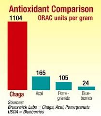 Chaga Has The Highest Orac Score Ever Recorded In Any