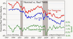 The Importance Of Real Yields Ishares Tips Bond Etf