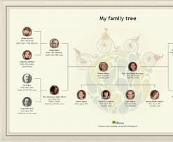 Myheritage is the leading global destination for discovering, preserving and sharing family history. Myheritage Family Tree Builder Download Family Tree Builder Is A Free Genealogy Application By Myheritage