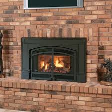Fireplace Inserts Natural Gas