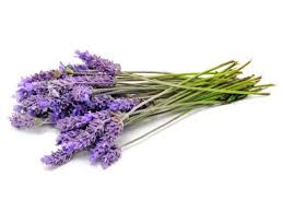 Herb Of The Month Lavender Food