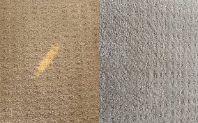 bleach spill phoenix carpet repair