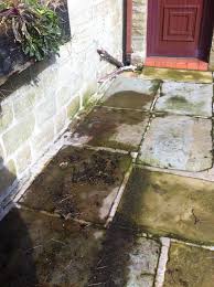 how to clean paving slabs with bleach
