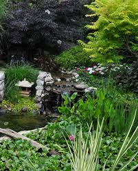 A Small Garden With A Pretty Pond