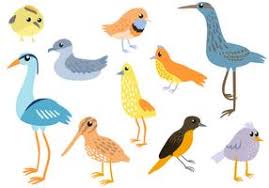 bird vector art icons and graphics