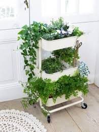 How To Decorate Your Kitchen With Herbs